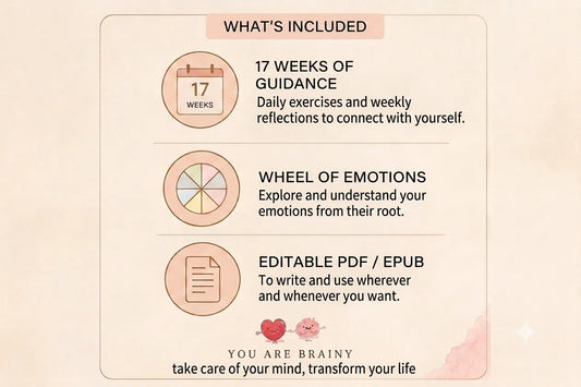 What's included in Embrace the Feeling: 17 weeks of guidance, wheel of emotions and editable PDF/EPUB — You Are Brainy